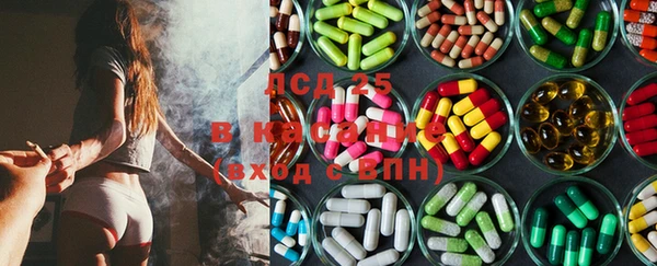 прущие крисы Алзамай
