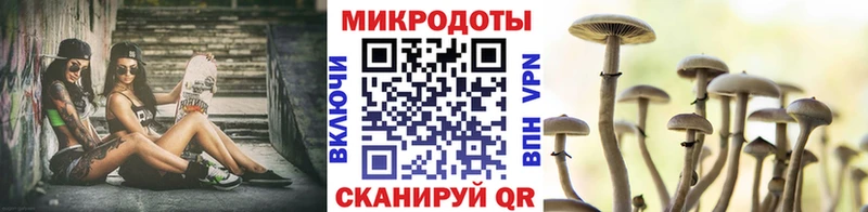 Псилоцибиновые грибы мухоморы Шатура