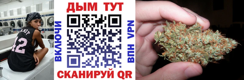 где купить   Шатура  Шишки марихуана тримм 